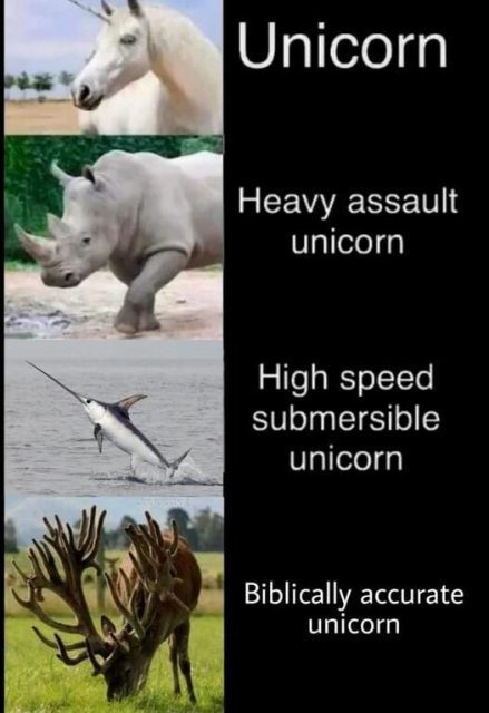 A picture of a unicorn labelled: Unicorn
Picture of rhino labelled: Heavy assault unicorn
Picture of swordfish labelled: High speed submersible unicorn
Picture of reindeer labelled: Biblically accurate unicorn