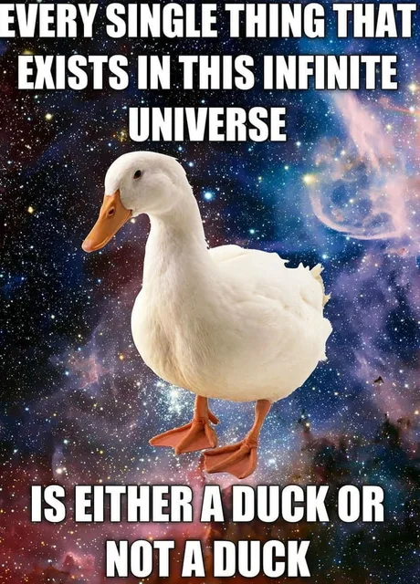 Photo of a duck on a starfield background. Text says:
"Every single thing that exists in this infinite universe is either a duck or not a duck."