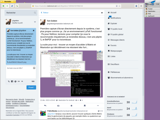 Capture d'ecran de Mastodon dans le navigateur Epiphany (aka Gnome Web) sur Haiku OS.