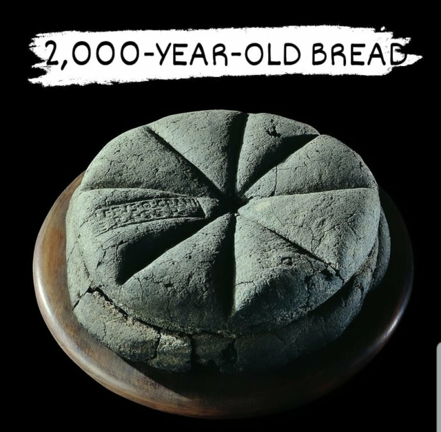 A photo of a round loaf of bread divided into 8 slices. It has a greenish tint and looks hard to the touch. There is a stamp on it, too. 