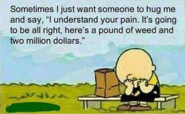 Charlie Brown, face in hands, captioned: Sometimes I just want someone to hug me and say "I understand your pain. It's going to be all right, here's a pound of weed and two million dollars."