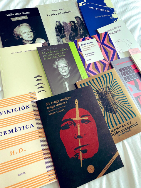 Three lines of books in different colors