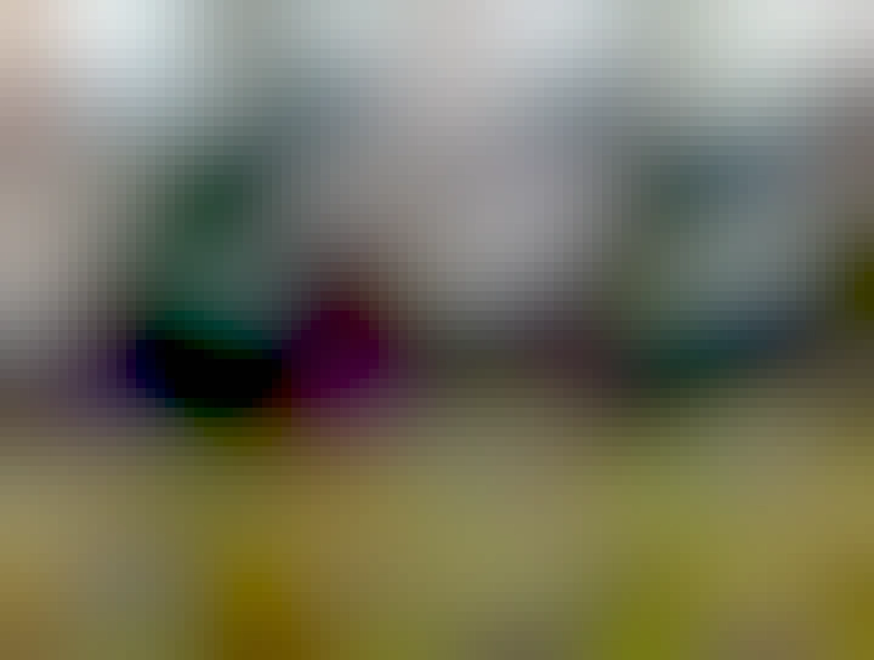 Panda near the bottom edge of the bottom field, where the ladies are. And a bit of llama in the top left.