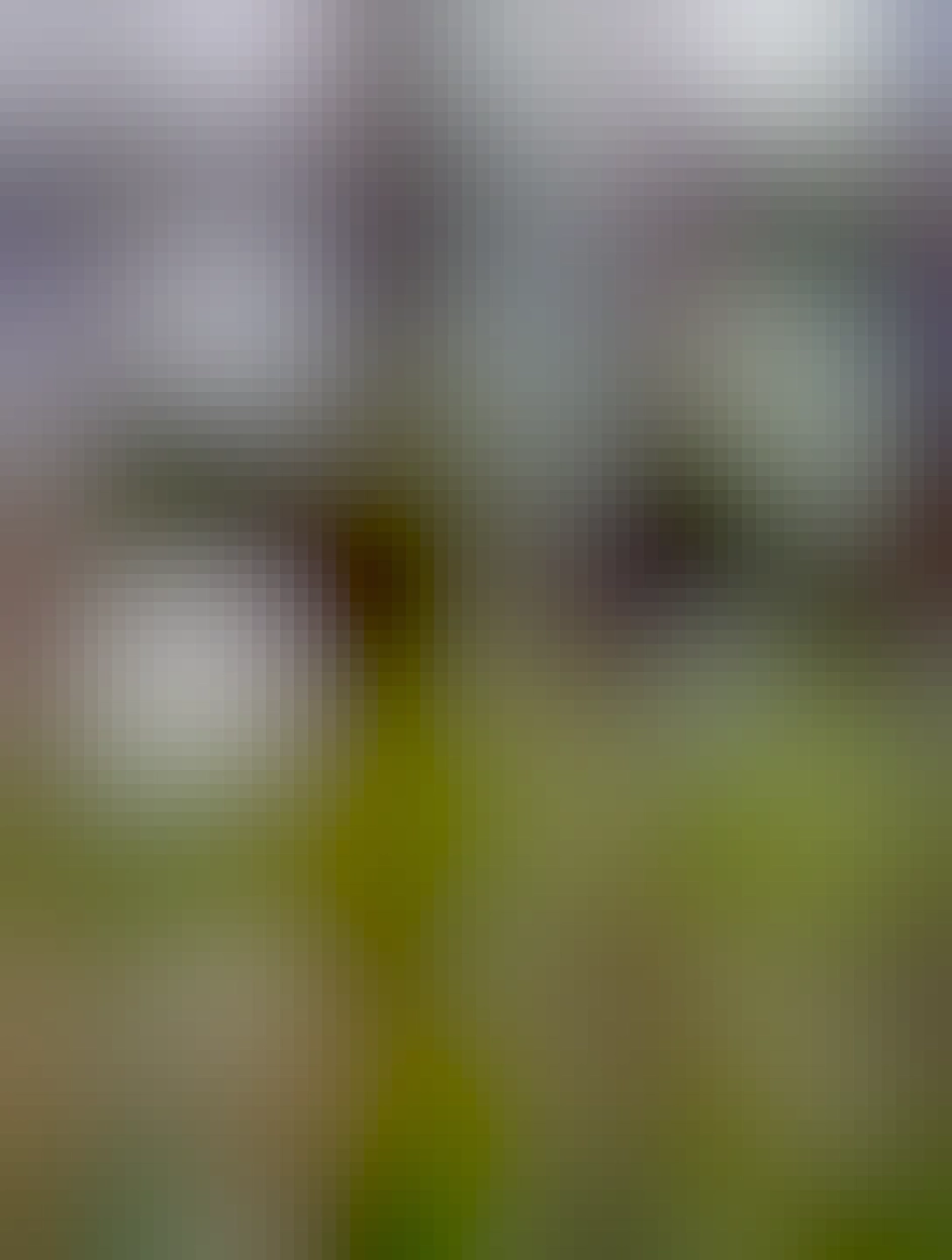 A nice view of Skippy's pulpit, with one of the ladies silhouetted in the gap. Plus a llama face poking in from the left of frame.