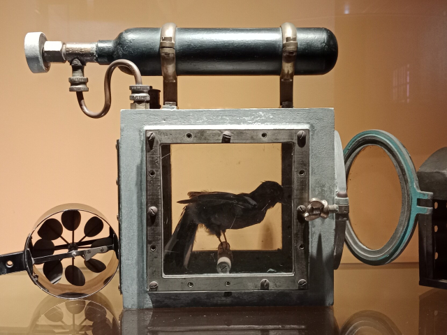 a heavy cast metal cube with glass-sided pannels, a latches glass door half open and an tiny oxygen bottle on top, with a canary bird inside