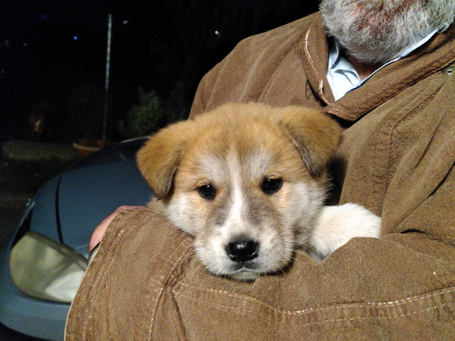 Bruna in my father's arms, feeling cuddly.