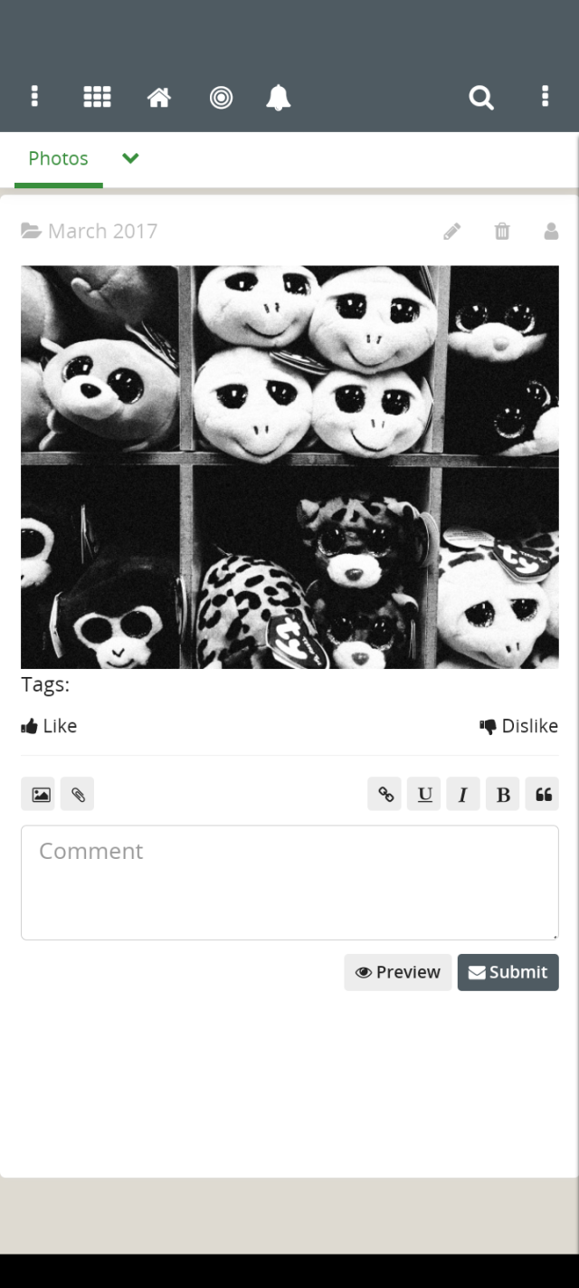 Friendica photo gallery 