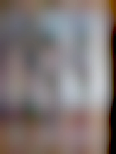 Propagační materiály kampaně Zeman na Hrad, z roku 2013