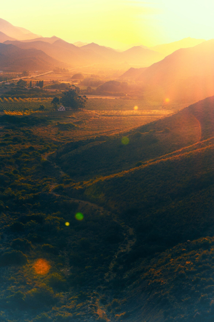 A portrait orientation photography looking along a flat valley of vineyards flanked on either side by the gentle slopes of mountains. A dirt track leads from the foreground down below, along the valley floor. The sun is low and bathing the valley in soft golden light, making the mountains further back increasingly hazy, and making green and red sunspots on the lens. There's a tiny farmhouse surrounded by a copse of trees nestled on the valley floor.
