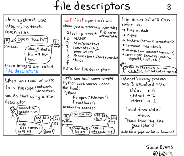 A hand drawn programming comic with the title 'file descriptors'. Doesn't have a proper caption yet.