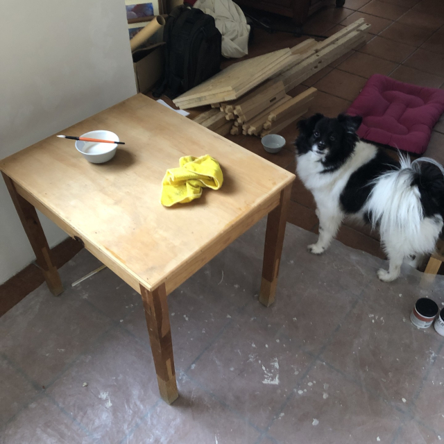Platito con pintura y un pincel; Mozzarello supervisando.
