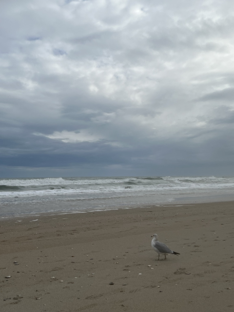  On the beach; sand, ocean, cloudy sky