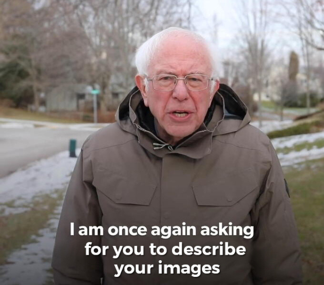 Bernie Sanders saying "I am once again asking for your financial support" but modified to say "I am once again asking for you to describe your images"
