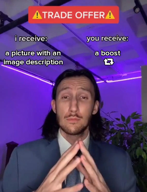 NBA draft TikTok meme: a guy in a suit with his fingers steepled, with the text "!Trade Offer! i receive: a picture with an image description. you receive: a boost"