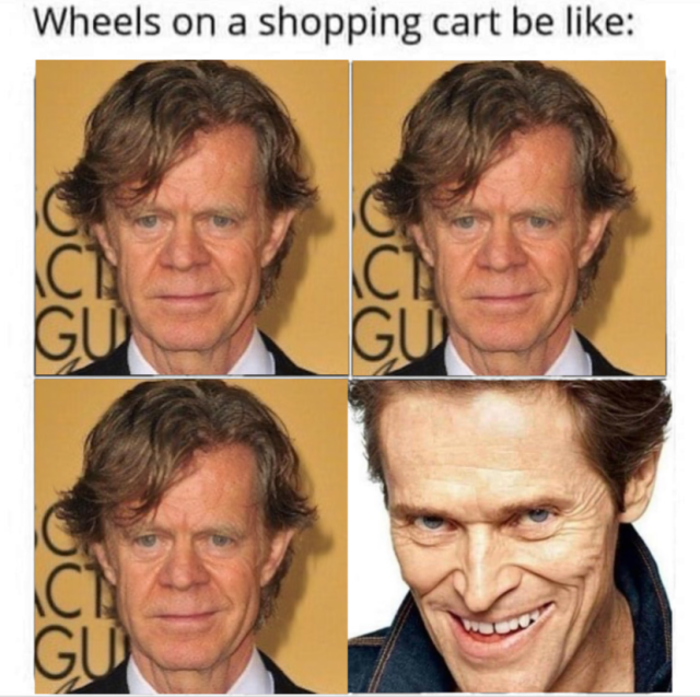 Wheels on a shopping cart be like: three pics of William H. Macy looking totally normal, and one pic of Willem Dafoe with an expression that says "I just ate your butterfly collection, and I have seven scented erasers in my butthole."