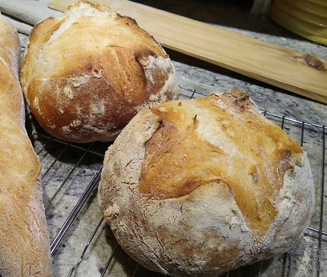 Two nice spherical bread loaves with split tops and a golden brown crusty exterior are shown fresh out of oven yesterday.