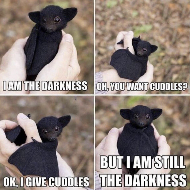 4 frame meme style comic. 

1) I AM THE DARKNESS [photo of cute bat doll in someone’s hands]
2) OH. YOU WANT CUDDLES? [photo of doll clutching hand]
3) OK, I GIVE CUDDLES [photo of doll clutching hand]
4) BUT I AM STILL THE DARKNESS [photo of doll in hands]