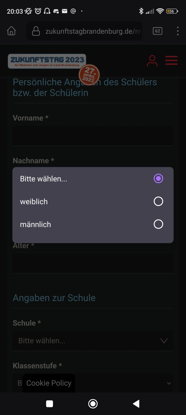 Anmeldemaske für Schüler*innen zum Zukunftstag. Unter Geschlecht kann man "männlich" oder "weiblich" wählen. 