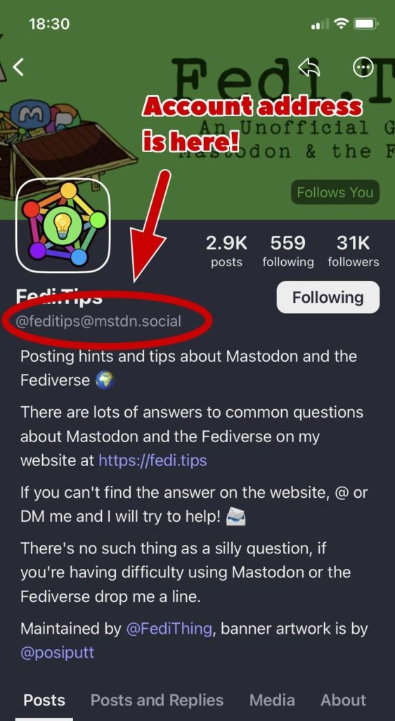 Screenshot of a Mastodon profile with the account address highlighted.