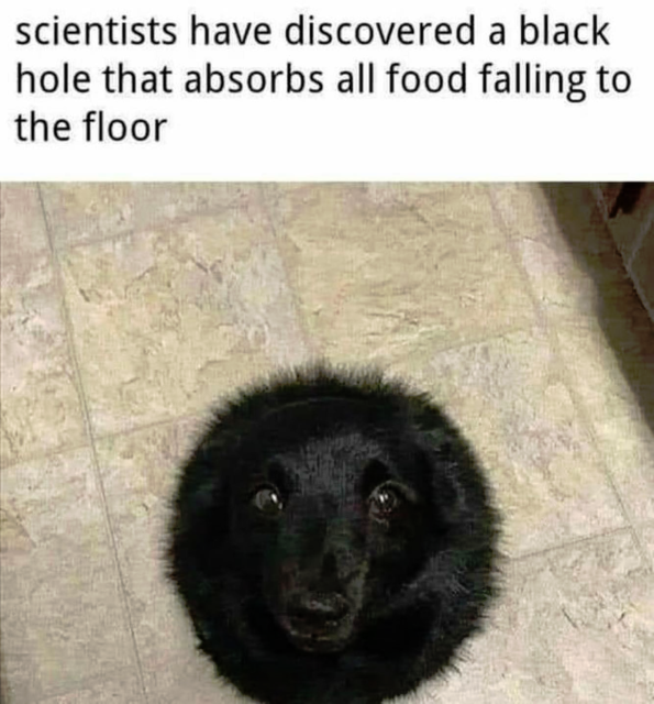 scientists have discovered a black hole that absorbs all food falling to the floor 