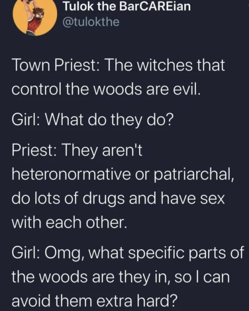 Town Priest: The witches that control the woods are evil.
Girl: What do they do? 
Priest: They aren't heteronormative or patriarchal, do lots of drugs and have sex with each other.
Girl: Omg, what specific parts of the woods are they in, so I can avoid them extra hard?