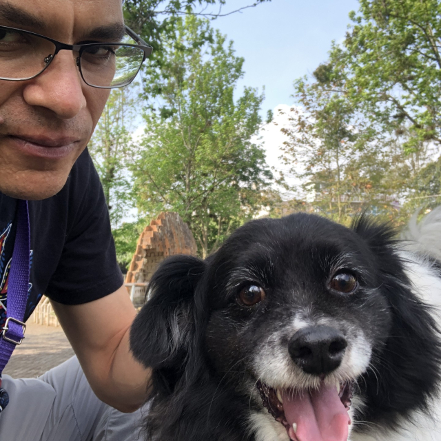 Mozzarello, mi perro blanco y negro, feliz durante su paseo enfrente de los árboles. Tiene orejitas despeinadas.