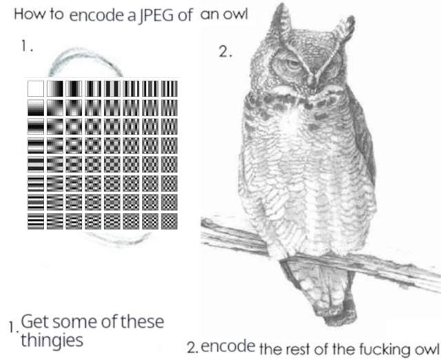 An edited version of the "how to draw an owl" meme. The title is "How to encode a JPEG of an owl". The first step is labeled "get some of these thingies", with a visualisation of the 2D cosine basis of the discrete cosine transform (a common sight in explainer articles). The second part is labeled "encode the rest of the fucking owl" (with the original and detailed owl picture above)