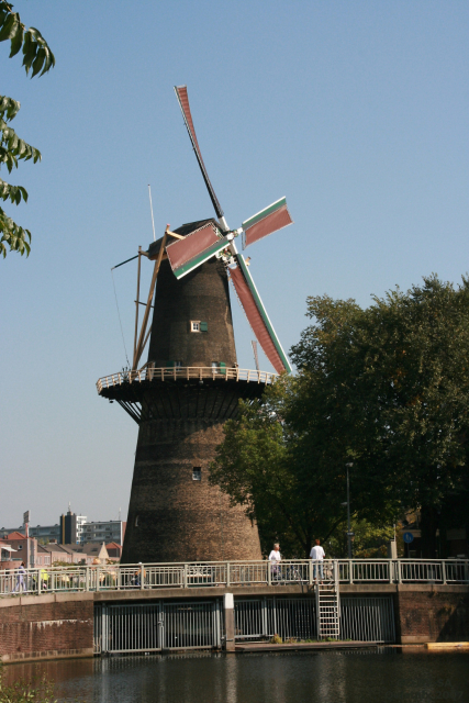 Tall De Noord windmill behind a tree