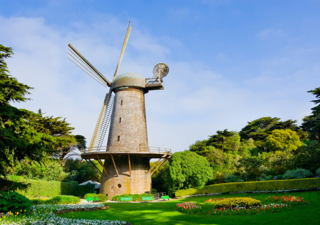 Dutch windmill among trees in San Francisco