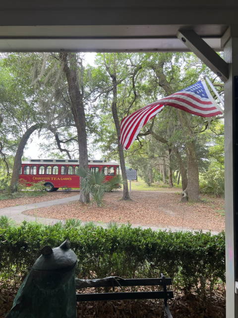 Trees, American flag, and trolley