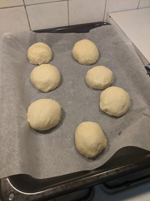 Burger buns before baking