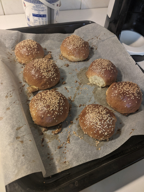 Burger buns after baking