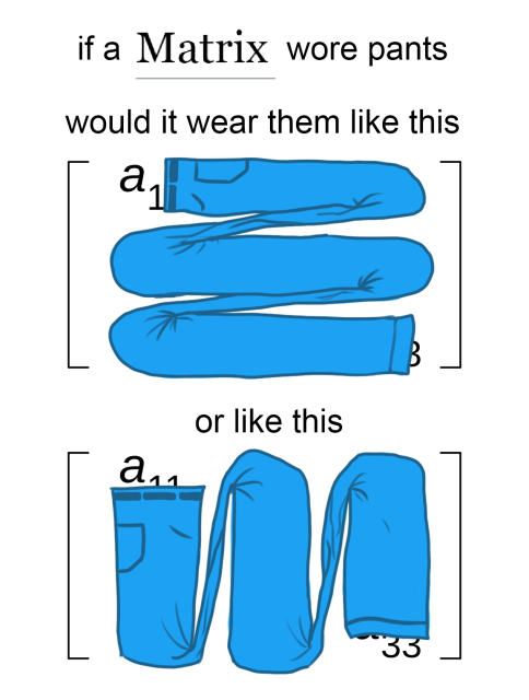 meme that says:
"If a matrix wore pants, would it wear them like this, or like this"
showing two matrices "wearing" a single pant leg going row-by-row on one, and column-by-column on the other. it's a very dumb joke about row vs column major matrices and I'm sorry