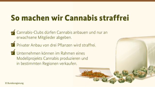 Zusehen ist Cannabis. In dem Bild steht: So machen wir Cannabis straffrei
-Cannabis-Clubs dürfen Cannabis anbauen und nur an erwachsene Mitglieder abgeben.  
-Privater Anbau von drei Pflanzen wird straffrei.
-Unternehmen können im Rahmen eines Modellprojekts Cannabis produzieren und in bestimmten Regionen verkaufen.
