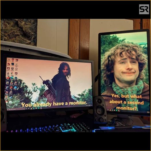 Laptop, with a portrait mode monitor next to it. Laptop screen has a background with the LotR ranger dude on it, saying "You already have a monitor." Portrait mode has a background with a hobbit saying "Yes, but what about a second monitor?" No I haven't seen LotR, but I know what a hobbit is from primordial D&D lawsuits.