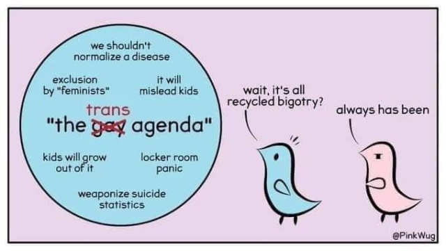 Various talking points in a circle:
'We shouldn't normalise a disease'
'Exclusion by "feminists"'
'It will mislead kids'
'Kids will grow out of it'
'Locker room panic'
'Weaponize suicide statistics'

In the centre of the image, the term "the gay agenda" but gay has been struck out and replaced with "trans".

To the right two birds, one blue and one pink (the colours of the trans flag). The blue bird says "Wait, it's all recycled bigotry?". The pink bird, an angry look on its face and pointing at the back of the blue bird (aping a known meme of two astronauts looking at Earth) replies "Always has been".