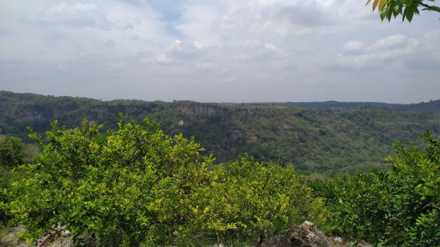 vista de un cañón en alguna parte del recorrido. En primer plano se aprecian unos árboles de limón comunes en la zona. A lo lejos el cañón y  mucha vegetación bien verde. En el cielo algunas nubes cubren el azul, sin embargo donde se tomó la foto el sol no daba tregua.