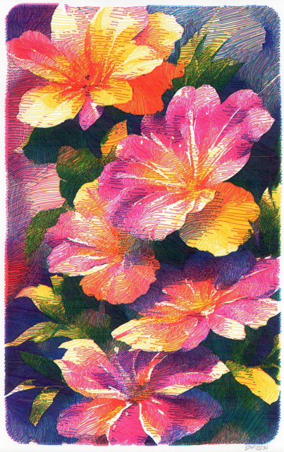 Vibrant pink and orange flowers on dark foliage in fine line marker