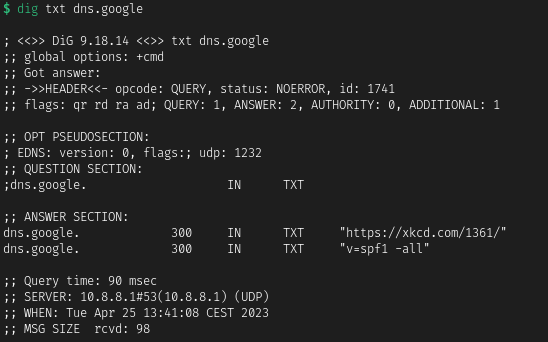 A screenshot from linux terminal. A dig command  has been called and it listed DNS records for domain "dns.google" of type TXT. In one of responded lines it shows link to xkcd comics page.