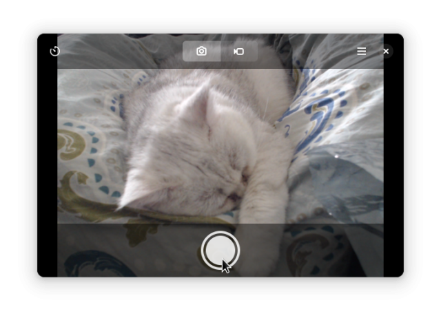A screenshot of Snapshot, the Camera app pointing at a white cat sleeping