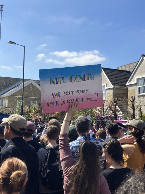 A sign saying: “nice gender, did your mummy pick it out for you?” in multicoloured letters on a trans pride flag background