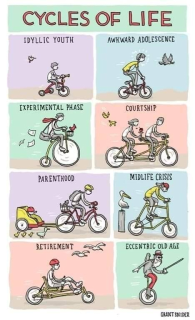 A cartoon entitled "Cycles of Life"

Frame 1: Idyllic Youth (a child riding a tricycle)
Frame 2: Awkward Adolescence (a teen riding a too-small bike while listening to headphones)
Frame 3: Experimental Phase (a young man riding a penny farthing bike with a handlebar basket)
Frame 4: Courtship (a young man riding a tandem bike with a young woman, who has been given a rose)
Frame 5: Parenthood (a man riding a bike with a child in a bike trailer and a stuffed animal in a back rack basket; both the man and the child are wearing helmets)
Frame 6: Midlife Crisis (a man wearing a bandana and long hair is riding a custom frame bike with a very high seat and bars)
Frame 7: Retirement (an older man wears a helmet riding a recumbent bike)
Frame 8: Eccentric Old Age (an old man with a long gray beard, dark sunglasses, and a cane, is riding a unicycle while wearing a bowler hat, with a parrot on his shoulder)