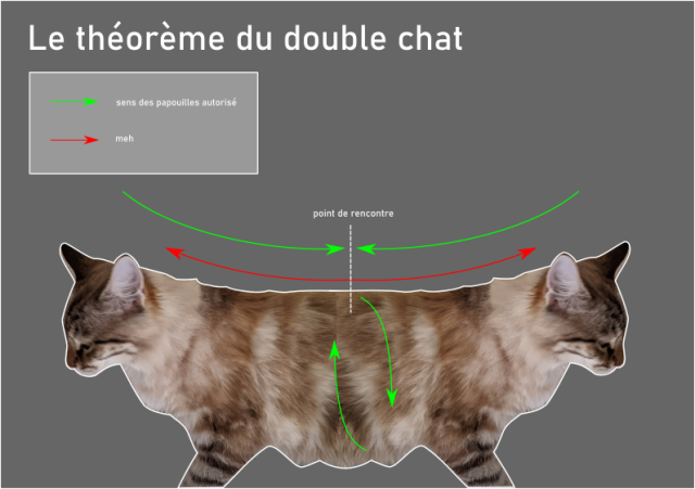 Schéma montrant deux chats liés pzr le tronc, servant à expliquer le sens des fibres du bois quand on sculpte des courbes 