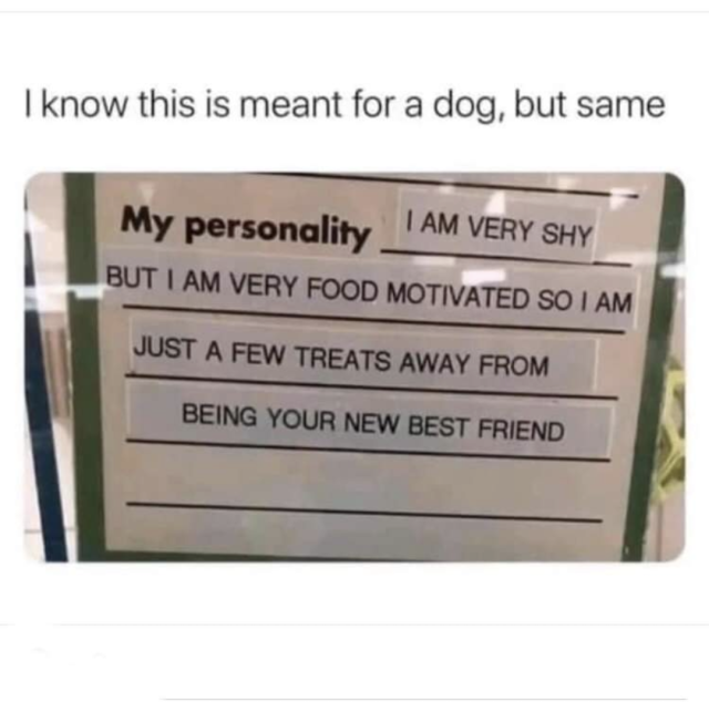I Know this is meant for a dog, but the same

Sign reads:
My personality: I am very shy but I am very food motivated so I am just a few treats away from being your new best friend 