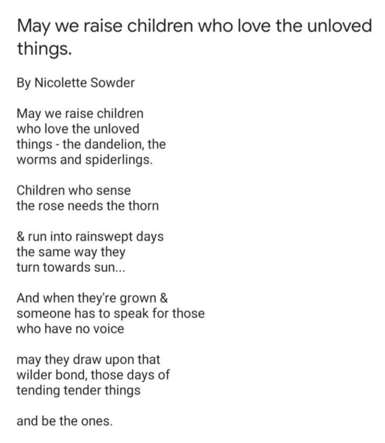 May we raise children who love the unloved things.

By Nicolette Sowder

May we raise children who love the unloved things the dandelion, the - worms and spiderlings.

Children who sense the rose needs the thorn

& run into rainswept days the same way they turn towards sun...

And when they're grown & someone has to speak for those who have no voice

may they draw upon that wilder bond, those days of tending tender things

and be the ones.