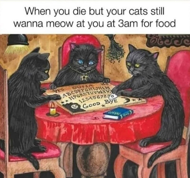 Cartoon of three black cats sitting at a table with a ouija board laid out on it