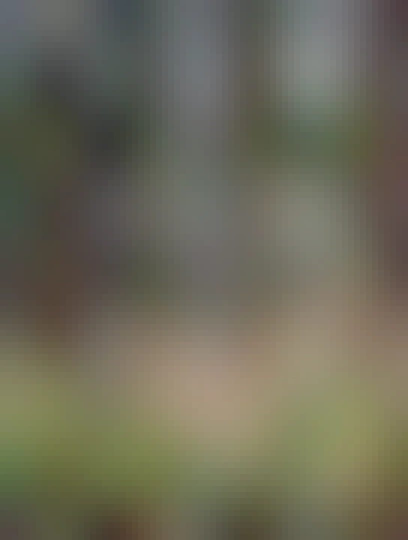 Skály pod Tisovským vrchem. Okruh byl 14 km. 