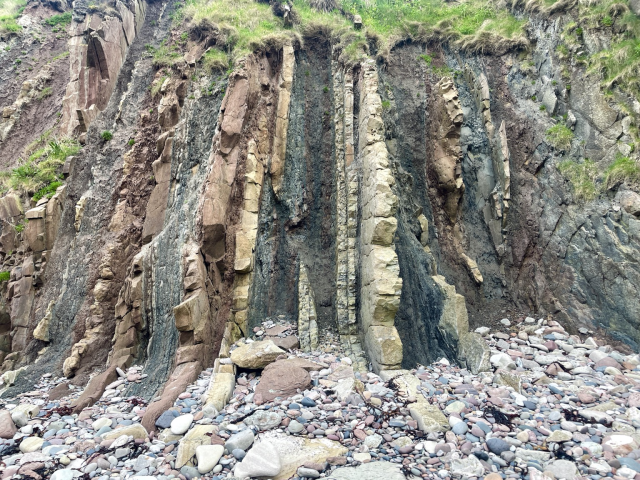 Landscape photo showing a cliff face along the coast past Ross, Lower Burnmouth. The cliff is composed of vertically dipping sediments which alternate in lithology, thickness and colour. There are dolostones interbedded with thin sandstones, palaeosols, siltstones and mudstones etc. The colours of the beds range though pale yellow-cream, to dark blueish grey and reddish brown. The rocks were originally laid down horizontally but were layer uplifted and folded and deformed during a period of mountain building (related to Berwick monocline). These rocks are super important due to their vertebrate fossil assemblage from a period known as romer’s gap.