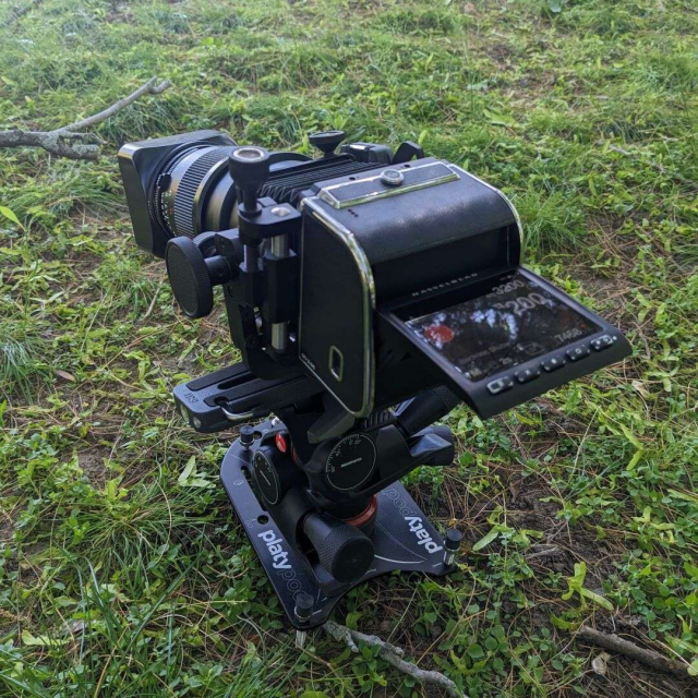 My insane camera perched on top of a Manfrotto geared tripod head, mounted to a platypod. The whole thing is pointed at a branch covered in lichen.