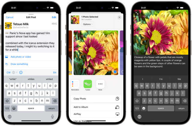 3 screenshots of Tusker. The first shows the Compose screen titled "Edit Post." The second shows the app icon in the iOS share sheet along with a photo of a flower. The third shows that same flower photo taking up most of the screen with a text box and keyboard below it, to show the act of writing the description while viewing the photo.